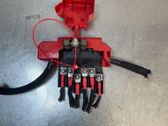 Other wiring loom