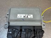 Engine control unit/module ECU