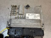 Engine control unit/module ECU