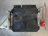 Engine control unit/module ECU