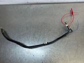 Other wiring loom