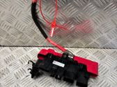 Other wiring loom