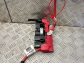 Other wiring loom