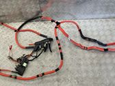 Other wiring loom