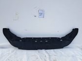 Front bumper skid plate/under tray
