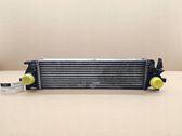 Intercooler radiator