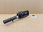 Front shock absorber/damper