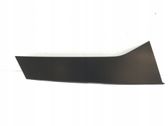 Rear door glass trim molding
