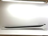 Side skirt front trim