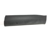 Front door trim (molding)