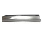 Front door trim (molding)