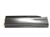 Rear door trim (molding)