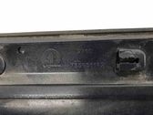 Rear door trim (molding)
