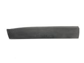 Front door trim (molding)