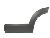 Rear door trim (molding)