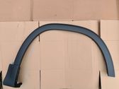 Fender trim (molding)