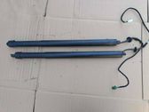 Tailgate/trunk strut/damper