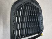 Grille inférieure de pare-chocs avant