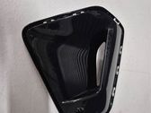 Front fog light trim/grill