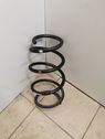 Front coil spring