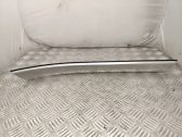 Rear sill trim cover