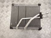 Heater blower radiator