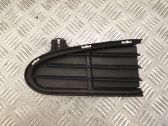 Front fog light trim/grill