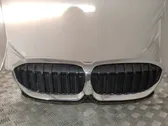 Front bumper upper radiator grill