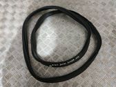 Trunk rubber seal (body)