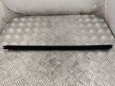 Rear door glass trim molding