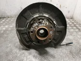 Rear wheel hub