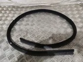 Front door rubber seal