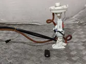Pompa ad alta pressione dell’impianto di iniezione