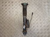 Rear shock absorber/damper