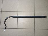 Tailgate/trunk strut/damper