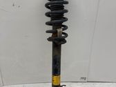 Front shock absorber/damper