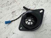 Panel speaker