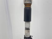 Rear shock absorber/damper