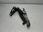 Tailgate/trunk/boot hinge