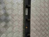 Rear door trim (molding)