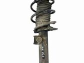 Front shock absorber/damper