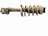 Front shock absorber/damper