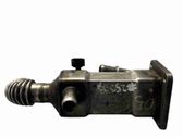 EGR valve