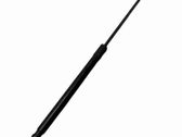 Tailgate/trunk strut/damper