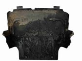 Unterfahrschutz Unterbodenschutz Motor