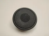 Rear door speaker