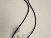 Other wiring loom