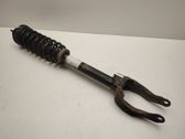 Front shock absorber/damper