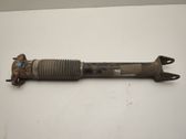 Rear shock absorber/damper