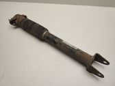 Rear shock absorber/damper